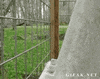GIF by Random Goat