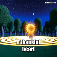 Wisdom Gratitude GIF by Bloomscroll