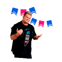 Capixaba Arraia Sticker by rededoriso