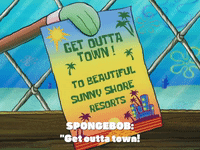 season 4 GIF by SpongeBob SquarePants