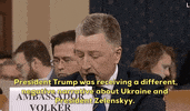 news impeachment impeachment inquiry kurt volker GIF