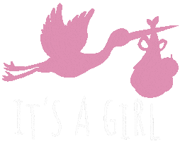 Baby Girl Stork Sticker