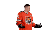 Sport Hockey Sticker by HC Amur