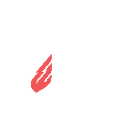 fcbotosani football romania superliga liga 1 Sticker