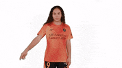Houston Dash Point GIF by National Women's Soccer League