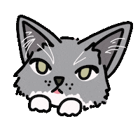 Kitten Cute Cat Sticker