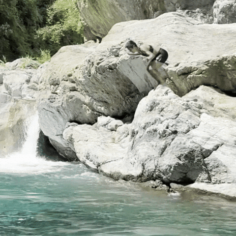 Iris GIF