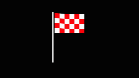 provincienoordbrabant giphyupload sticker flag carnaval GIF