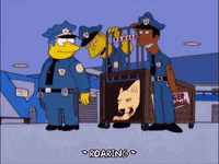 season 11 episode 20 GIF