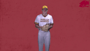 baseball GIF