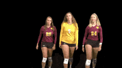 Cuc GIF by CUCougars