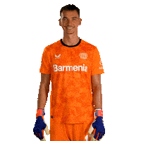 Bayer 04 Love Sticker by Bayer 04 Leverkusen