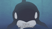 water whale GIF by South Park 