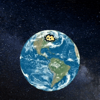 Cat Rotate GIF
