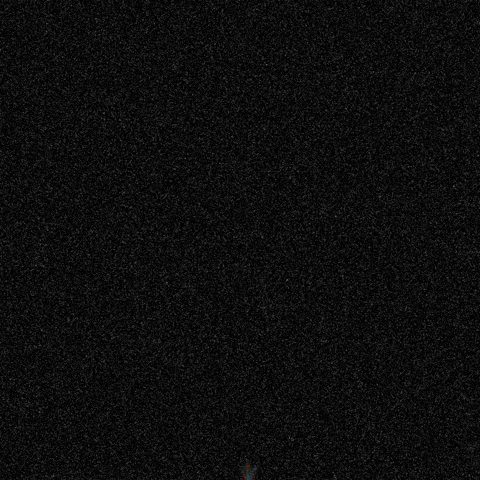 Gay Drag GIF by ParadigmaEstudio