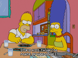 homer simpson episode 3 GIF