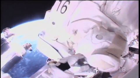 space astronaut GIF by NASA
