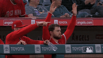 Regular Season Sport GIF by MLB