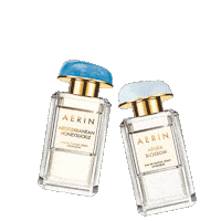 fragrance aerin Sticker by Estee Lauder