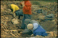 archaeology cmhgif GIF by Canadian Museum of History