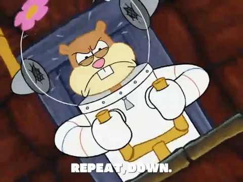 season 6 GIF by SpongeBob SquarePants