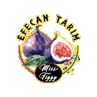 Missfiggy Sticker by Efecantarim