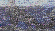 GIF by Big Beat Records