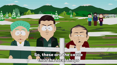 talk country GIF by South Park 