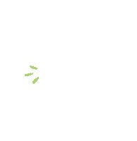 cat fashion Sticker by Tricoci  University