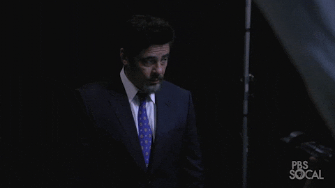 PBSSoCal giphyupload benicio del toro pbs socal really? GIF