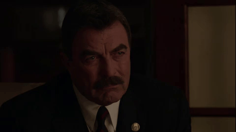 blue bloods smile GIF by WGN America