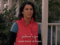 season 5 netflix GIF by Gilmore Girls 