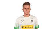 Nico Elvedi Bundesliga Sticker by Borussia Mönchengladbach