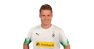 Nico Elvedi Bundesliga Sticker by Borussia Mönchengladbach