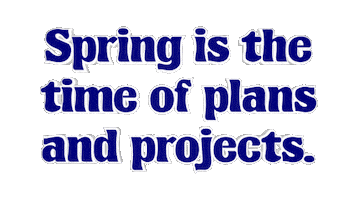 Love Hling Birdschirping Birds March Ostara Sunnyday Day Time Springiscoming Is Garden Sticker by OpticalArtInc.