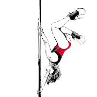 raistudiolt poledance polesport exoticpole handspring Sticker