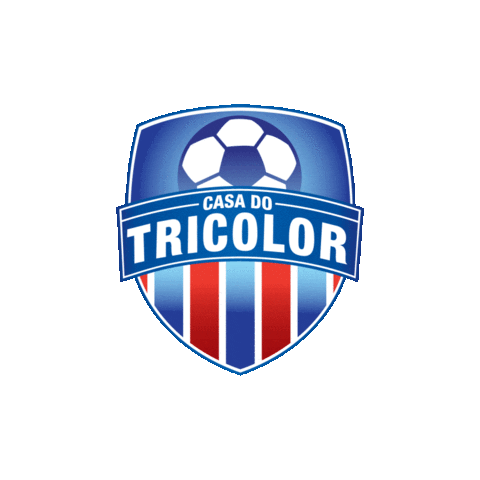 Bahia Ct Sticker by Casa Tricolor