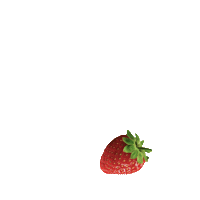 iceland ms Sticker by iseyexport