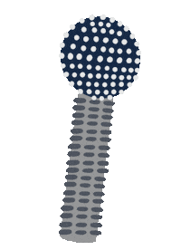 kayladye wine 2020 dallas pandemic Sticker