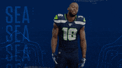 National Football League GIF by Seattle Seahawks