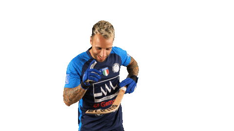 Goal Pinto Sticker by GS Hockey Trissino