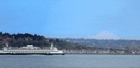 washington seattle GIF