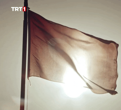 Flag Smile GIF by TRT