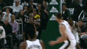 Assist Milwaukee Bucks GIF by NBA