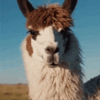 Stare Wtf GIF by Maryanne Chisholm - MCArtist