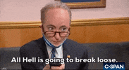 Snl GIF by Saturday Night Live