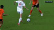 Chicago Red Stars Sport GIF by National Women's Soccer League