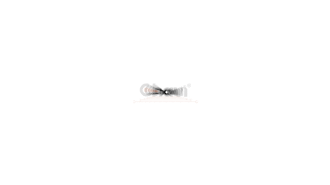 chavi_digital giphyupload GIF