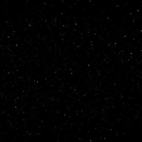 Internet Crypto GIF by Nexus