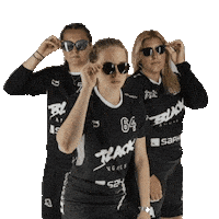 Floorball Ba Sticker by BLACK ANGELS